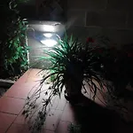 Catherina
