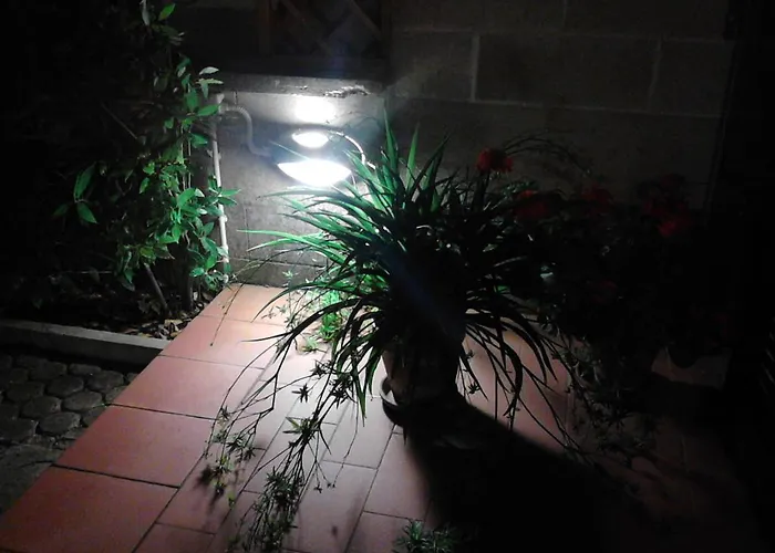 Catherina